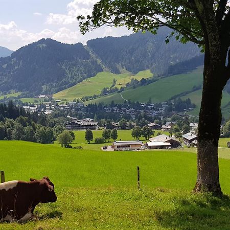 Haus Sonnleiten Maria Alm am Steinernen Meer Exterior foto